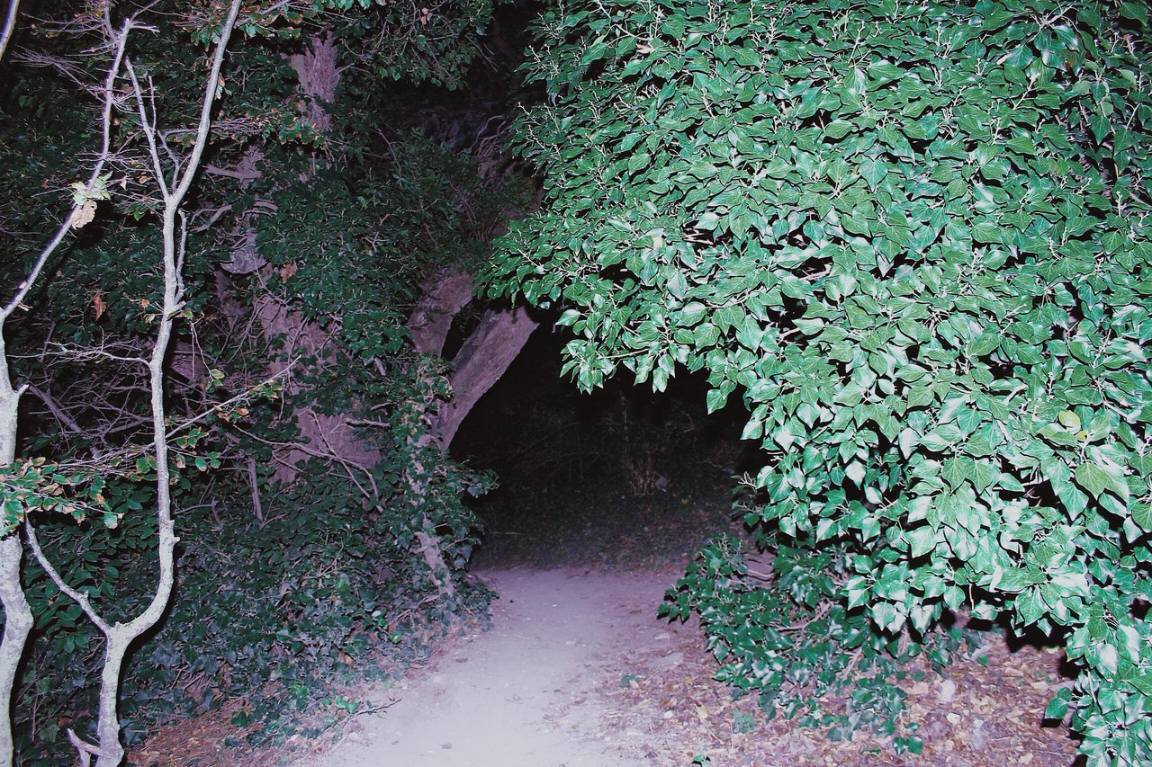 Limanchik, 2016, photograph 7