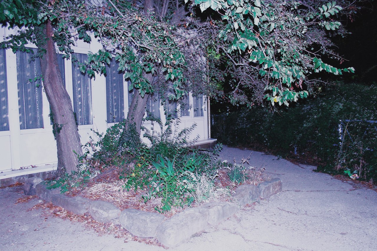 Limanchik, 2016, photograph 3