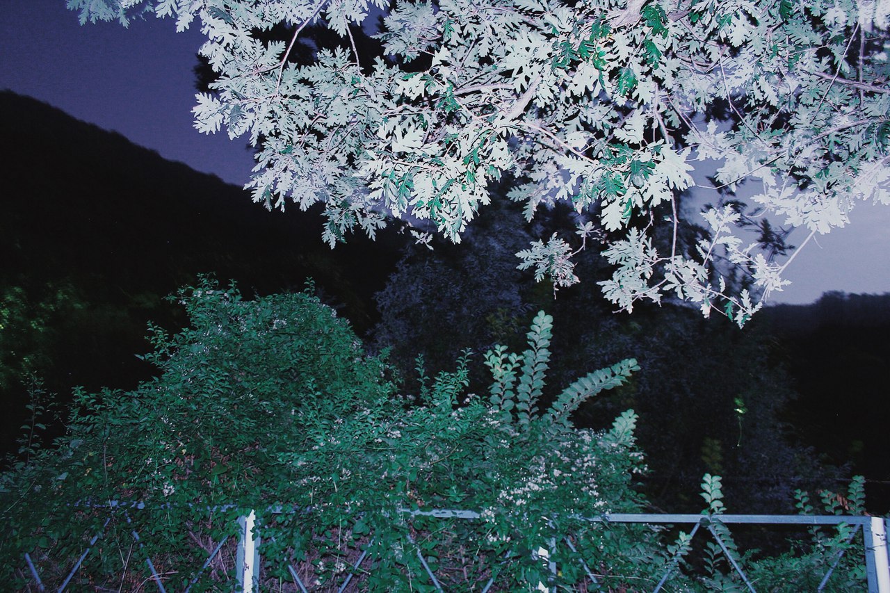 Limanchik, 2016, photograph 4