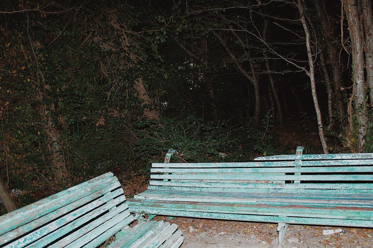 Limanchik, 2016, photograph 5