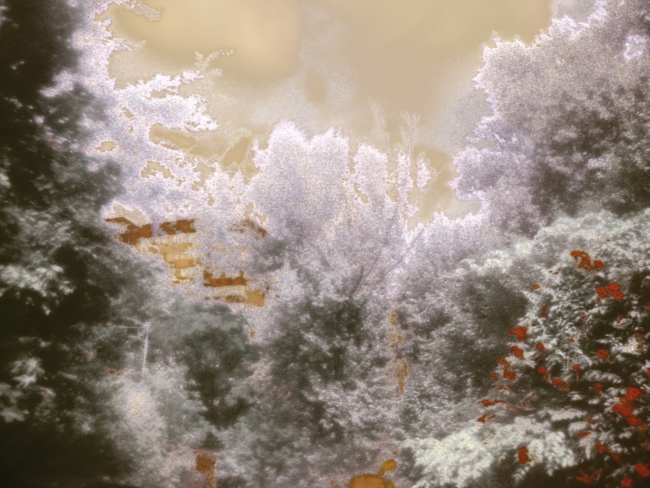Sunlight flaring through an uneven handmade filter over a roadside view.