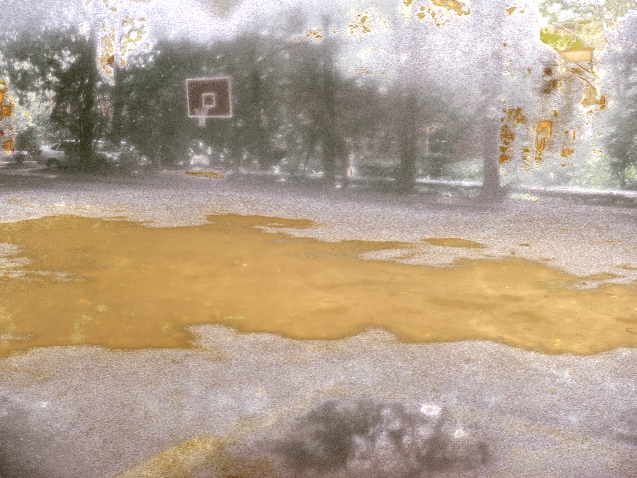 A bright optical effect spreading across trees and ground; the apparent pool is produced by the filter.