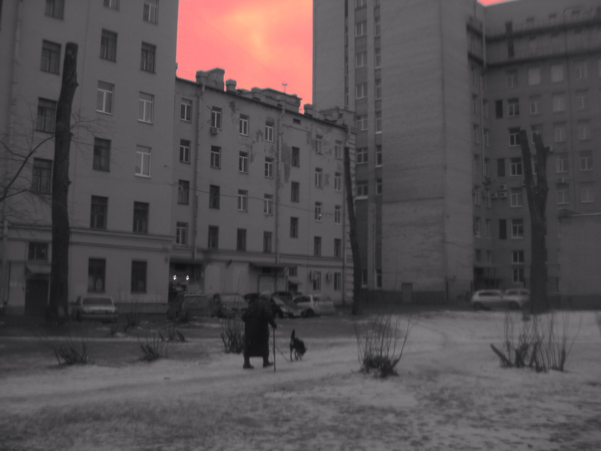 Pinkie Industrial, photograph 02