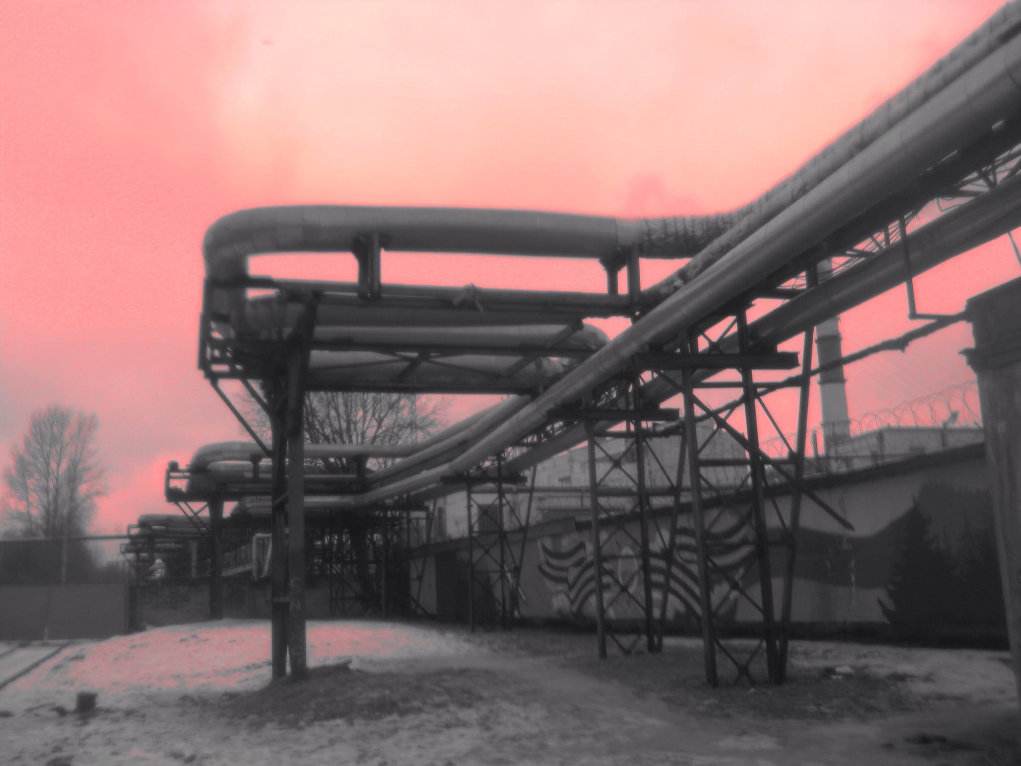 Pinkie Industrial, photograph 03