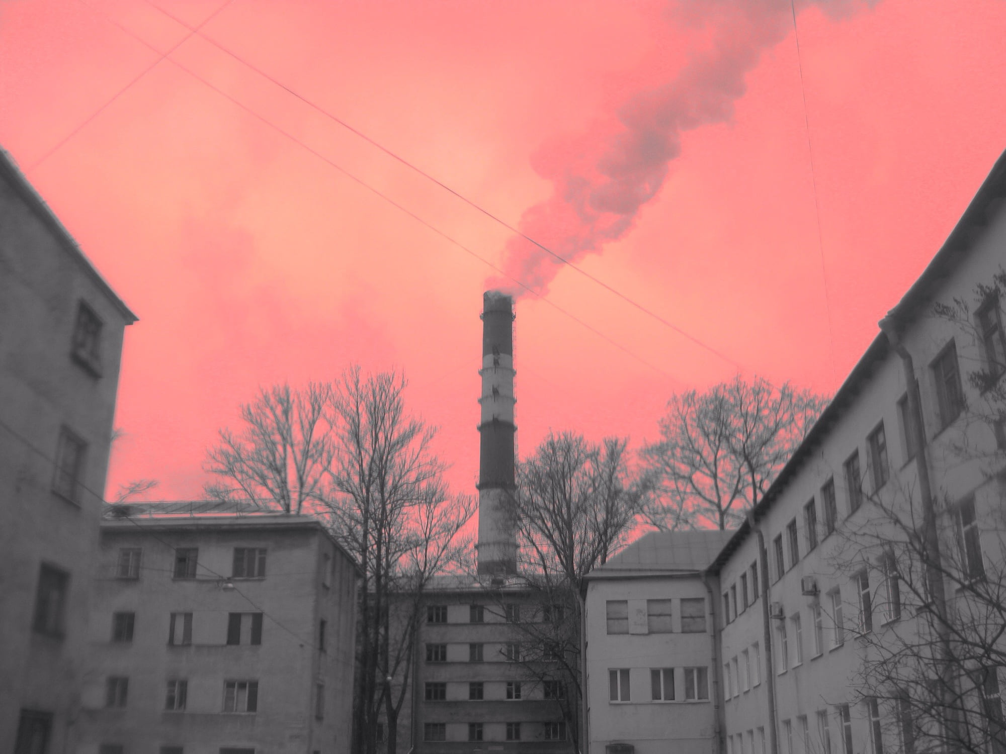 Pinkie Industrial, photograph 04