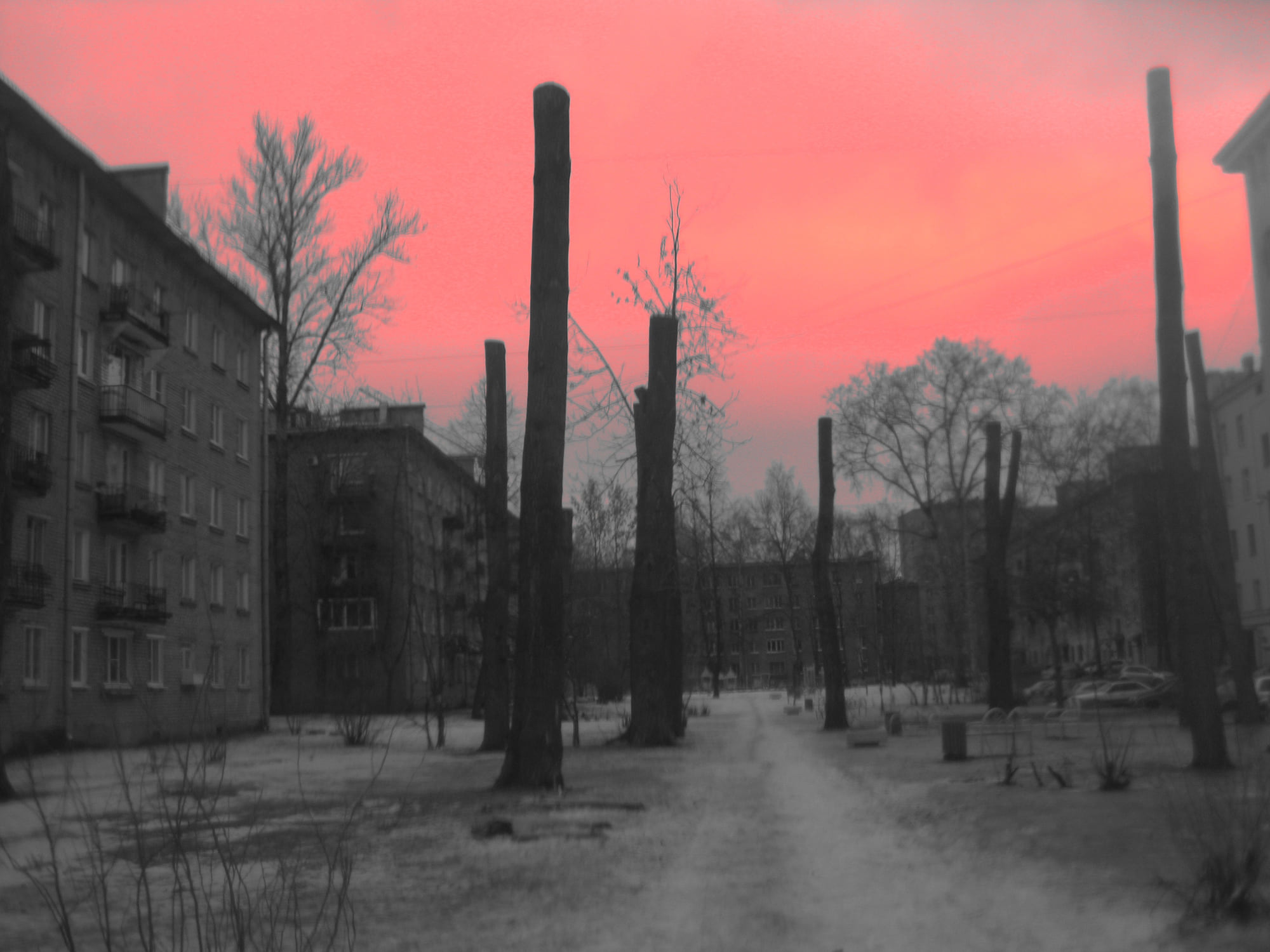 Pinkie Industrial, photograph 06