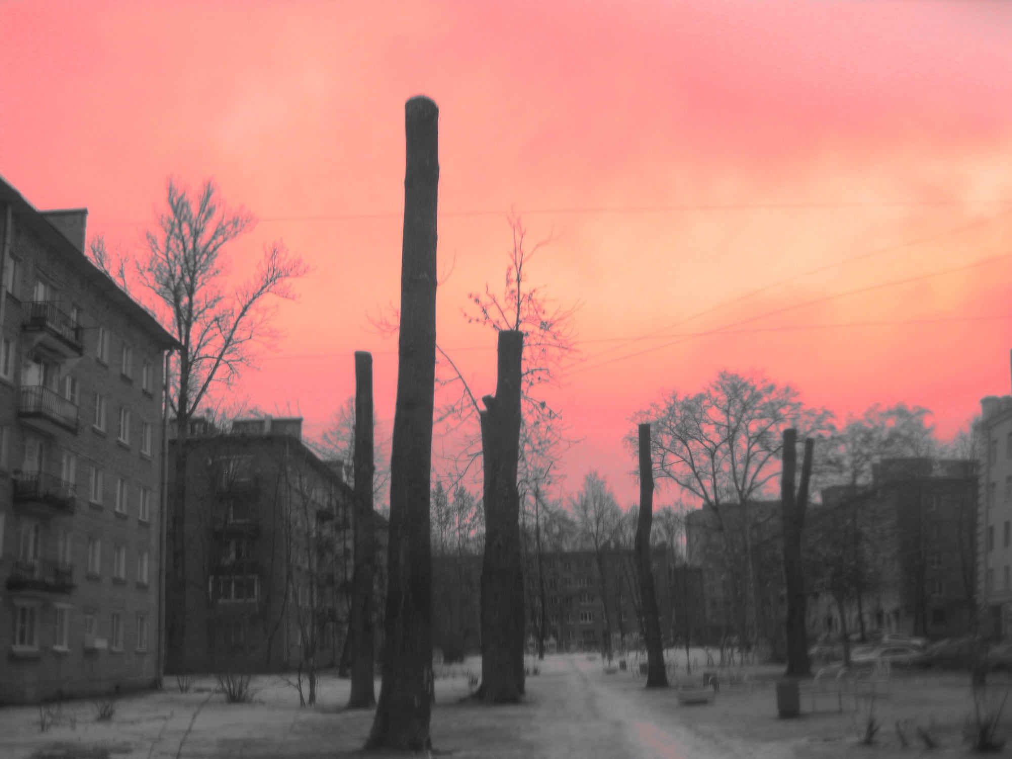 Pinkie Industrial, photograph 11