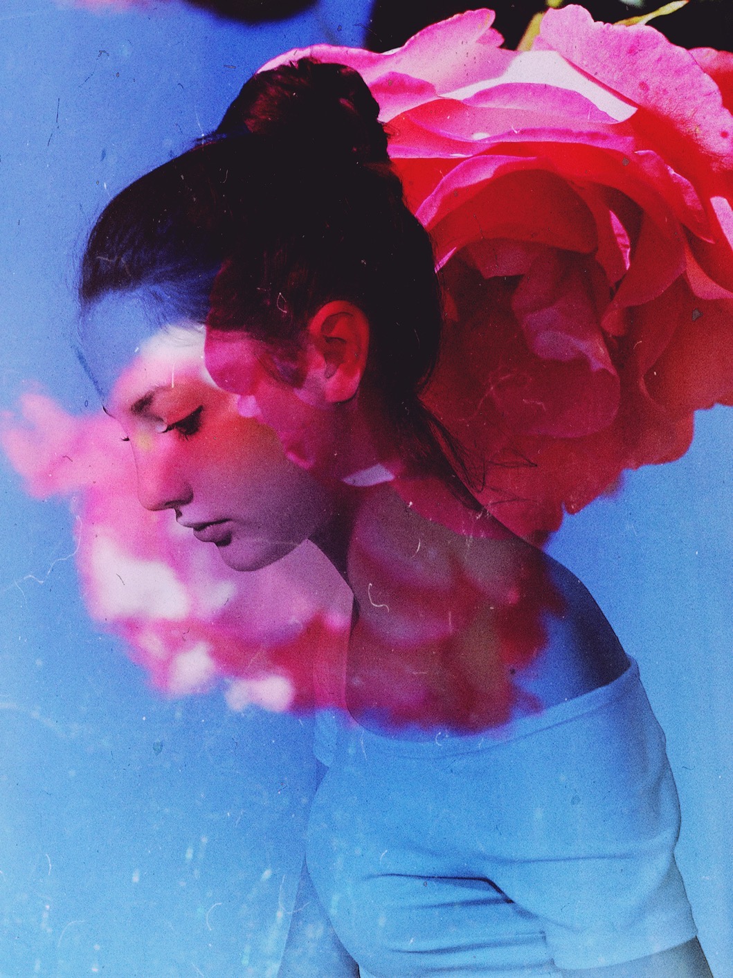 A portrait in profile layered with an oversized pink rose against a blue background.