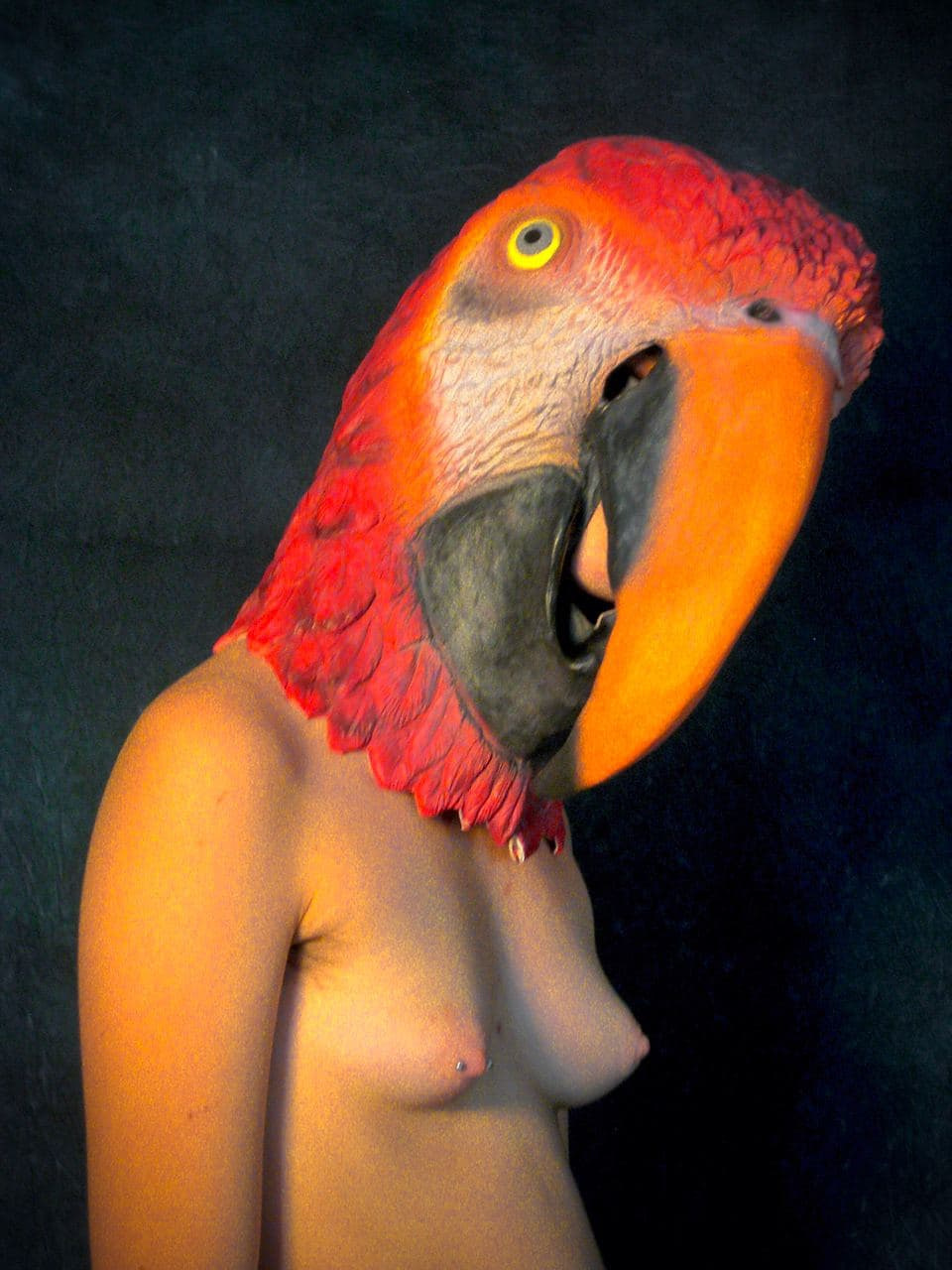 A bare torso beneath a large red and orange parrot mask, against a dark background.